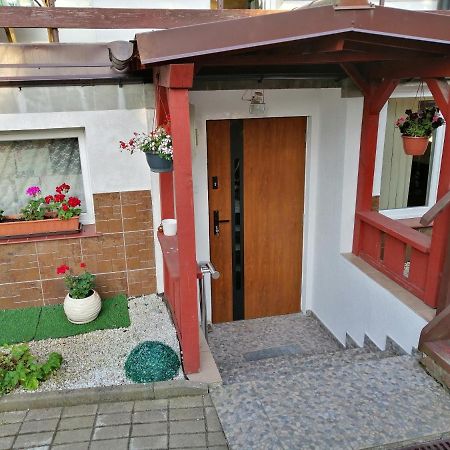 Apartament Przy Parku Malbork Dış mekan fotoğraf